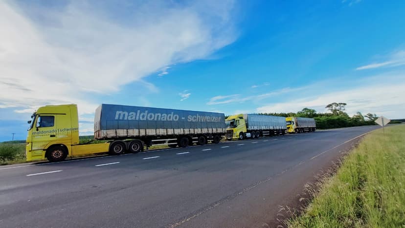 Camión 5