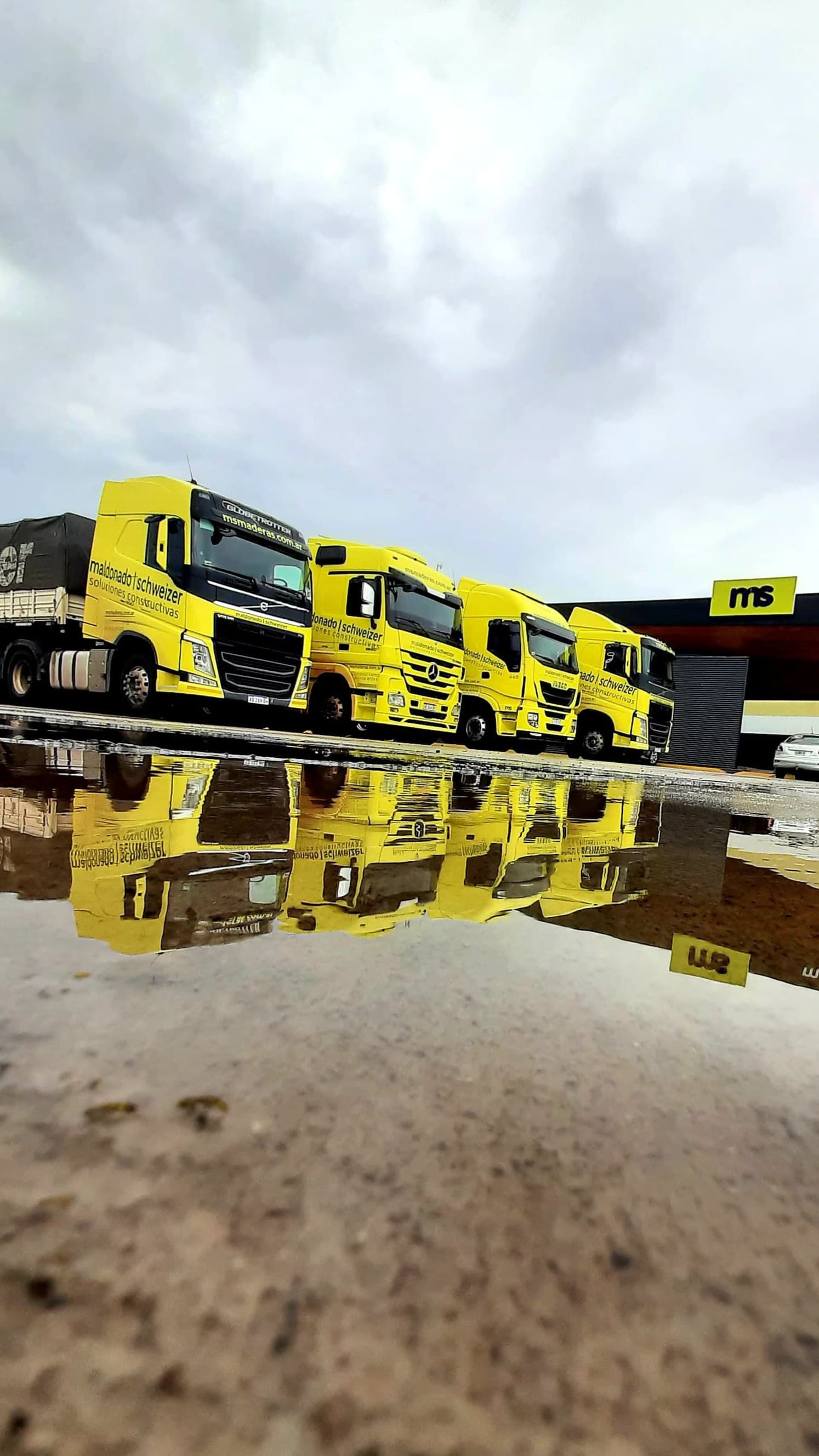 Camiones de Transporte Mendio