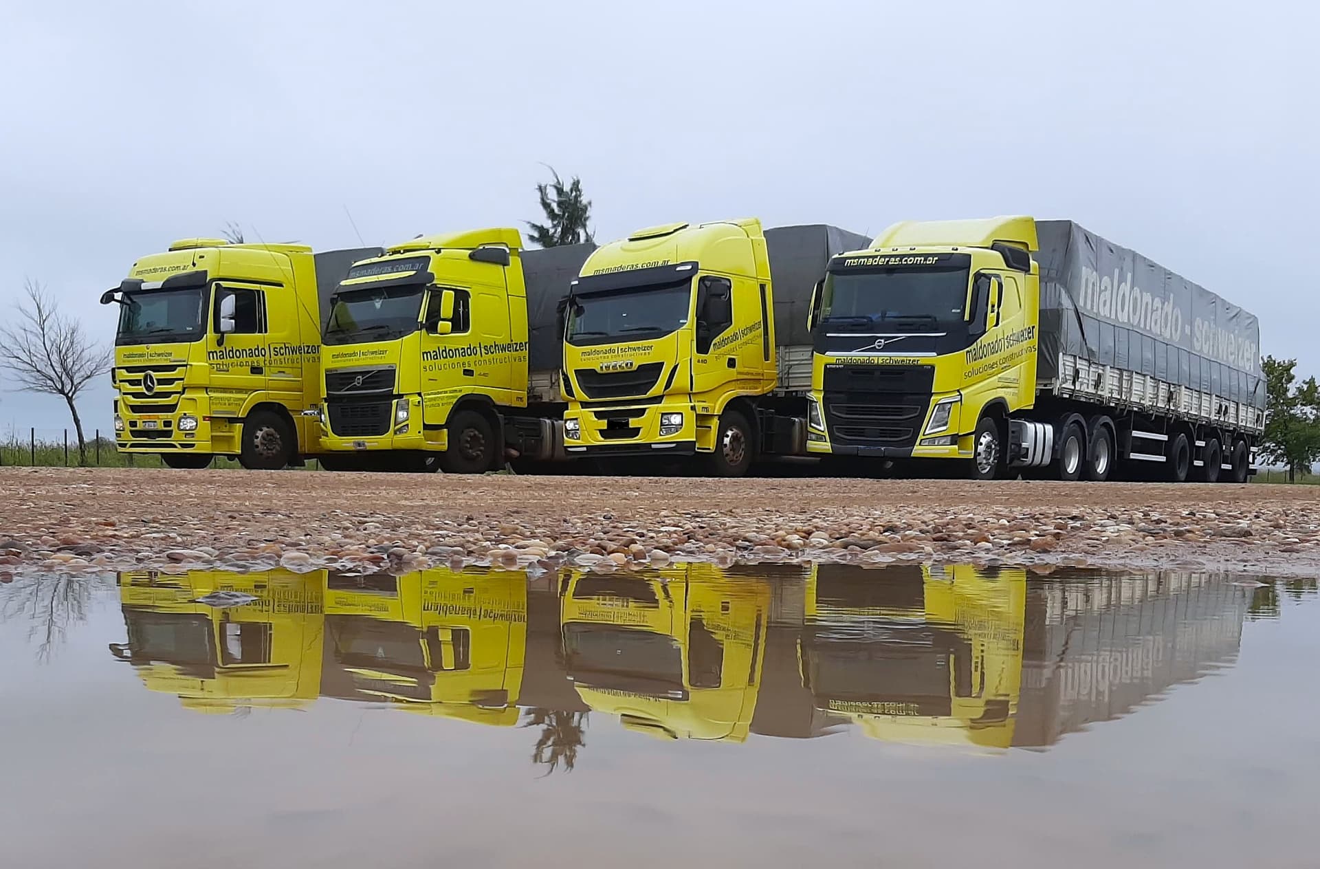 Camiones de Transporte Mendio